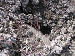 Grotte monte Gemmellaro
